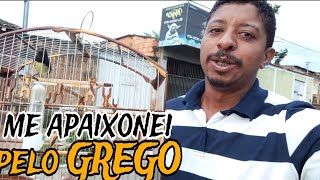 O MILAGRE ACONTECEU , PELA PRIMEIRA VEZ NA VIDA UM PAPA CAPIM GREGO ME CHAMOU ATENÇÃO @manotom