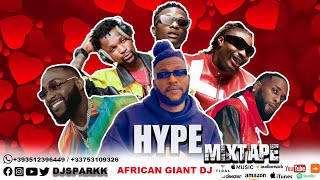 AMAPIANO HOTTEST HYPE PARTY MIXTAPE [ BEST HYPE & AFRICAN GAINT DJ ]