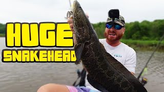 Sight Fishing MONSTER Snakehead - Virginia Fishing