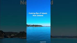 Cruising Bay of Islands #shorts #newzealand #princesscruises