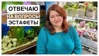 Эстафета цветочных блогеров. Отвечаю на вопросы.