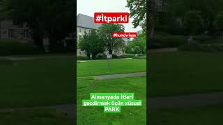 Almanyada İtləri gəzdirmək üçün xüsusi Park. #Almanya #Essen #Park #hundwiese #evcilhayvan #Parklar