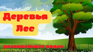 ДЕРЕВЬЯ. ЛЕС. 🌳🌲Изучаем лиственные и хвойные деревья. Развивающее видео. Листья деревьев.🍃