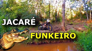 TRILHA DE MOTO DO FUNK | JACARÉ FUNKEIRO