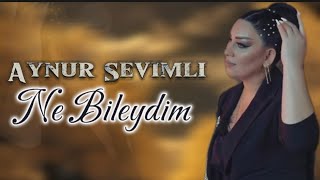 Aynur Sevimli - Ne Bileydim 2023 (Official Music Video)