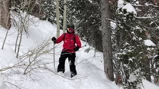 Skiing trees at Solitude Resort