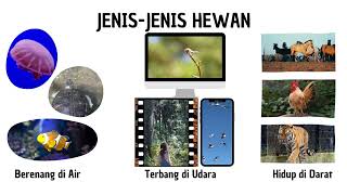 Tugas 2 Pengenalan Canva - Jenis-jenis Hewan