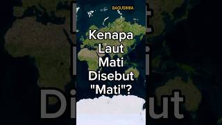 Kenapa Laut Mati Disebut "Mati"?