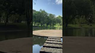 Beautiful Bishan - ang Mo Kio park #shorts #shortsfeed #shortstrending #shortsvideo #singapore