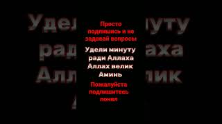 Коран и не задавай вопросы #pvz #short #коран #аллах #ислам #сура #пост #дуа #иман #аминь #амин ха