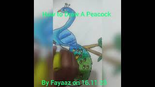 How to Draw a beautiful Peacock by Fayaaz on 16.11.23