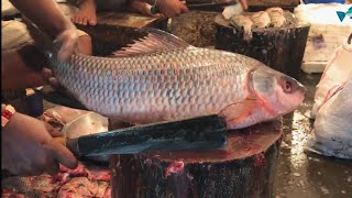 Fastest Big Rohu Fish Cutting & Chopping By Expert Master In Bangladesh Fish Market