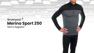 Smartwool Merino Sport 250 Men's Apparel