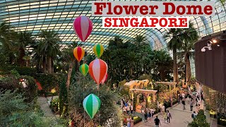 Flowers Dome Singapore 2024 | lovely and beautiful roses | Garden By The Way 🥰