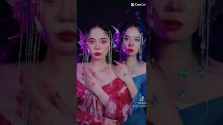 TIKTOK MÈO SIMMY VÀ SAMMY ĐÀO BIẾN HÌNH #tiktok #xuhuong