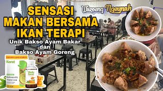 Sensasi Kuliner Sambil Terapi Ikan ‼ Madu & Teh KORAT Atasi Kolestrol, Asam Urat & Darah Tinggi