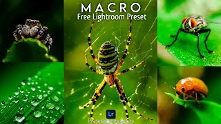 How to Edit Macro Photography | Free Dng File Download | Free Lightroom Mobile Preset Tutorial