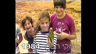 נזקי ברד בחקלאות 1984