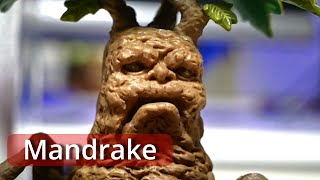 Mandrake / Harry Potter / Magical Creatures / The Noble Collection / Unboxing