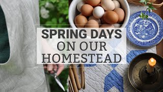 Busy Spring Days on Our Homestead | Gardening, Chickens, Planting Herbs (Mostly Silent Vlog)