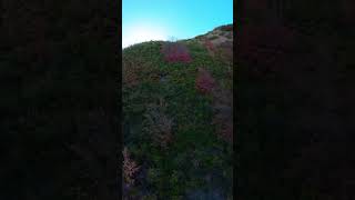 DJI Avata 2 Full Acro #djiavata2 #drone #fpv #fpvdrone #mountains #nature #sky #dji #shorts