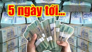 Đúng 5 Ngày Tới, 4 Con Giáp Trúng Số Cực To,  Làm Đâu Thắng Đó, GIÀU NHANH CHÓNG MẶT | TVV