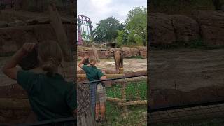 Dancing Elephant Training part 2