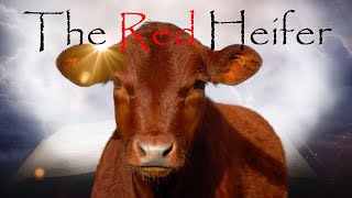 The Red Heifer