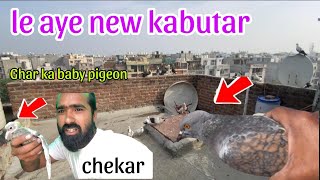 Le aye new kabutar😍. Chekar.  🤪Public demand😜