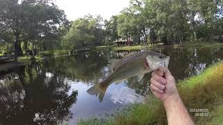 Small Pond Fishing!