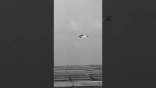 1930s Aeronca Touring Plane Takes Off from Roosevelt Airfield, NYC | Vintage #short #shorts