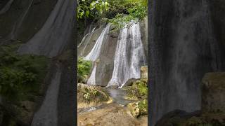 Chasing waterfalls in Portland Jamaica #viral #trendingshorts #waterfall