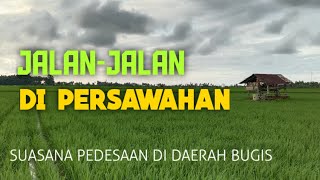 JALAN-JALAN DI PERSAWAHAN