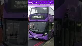 Reading Purple Bus