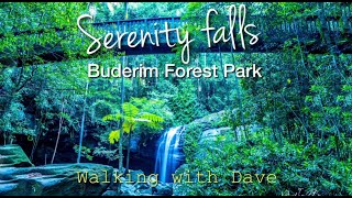 SERENITY FALS, BUDERIM