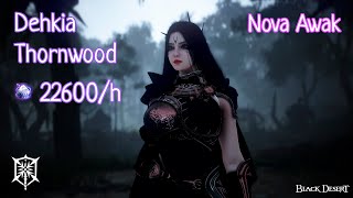 BDO Nova Awakening Dehkia Thornwood 22.6/hr