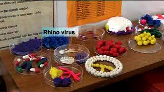 e-Bug school activities to teach about microbiology: make your own microbe