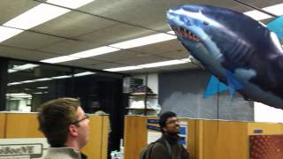 Remotely controlled flying shark is trained by German nuclear physicist