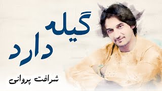 Sharafat parwani - Gile Darad | شرافت پروانی - گیله دارد