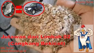 Limbah Berkah !!! Jutawan dari Pengolahan Limbah 02...Cangkang Bekicot menjadi Pakan Ternak