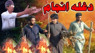 Da Ghla Anjam Funny Video By PK Vines 2019 | PKTV