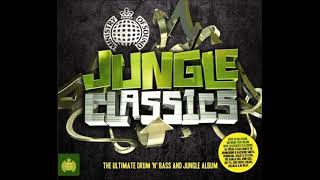 15  Roni Size   It's Jazzy Jungle Classics