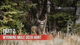 BIG BUCKS SPOTTED, SHOOT or PASS? - Wyoming DIY Mule Deer Hunt (Part 2 of 10)