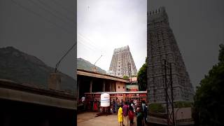 Tiruvannamalai Temple #temple #travel #art