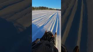 Talkeetna, Alaska 1/20/24