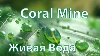 Coral Mine — самый простой способ пить качественную воду