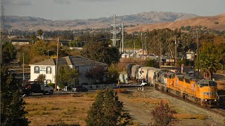 Bay Area Trains | New ACE Cabcar, UP 1004, and More