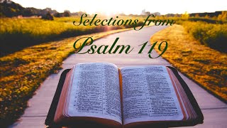 Selections from Psalm 119