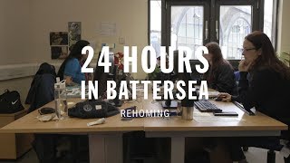 Rehoming | 24 Hours In Battersea