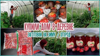 🏡 Купили дом в деревне / Заготовки на зиму / Огород